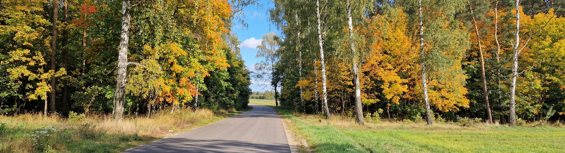 Zobacz Więcej