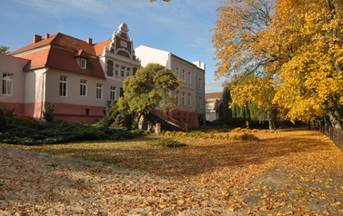 Ryńsk 6